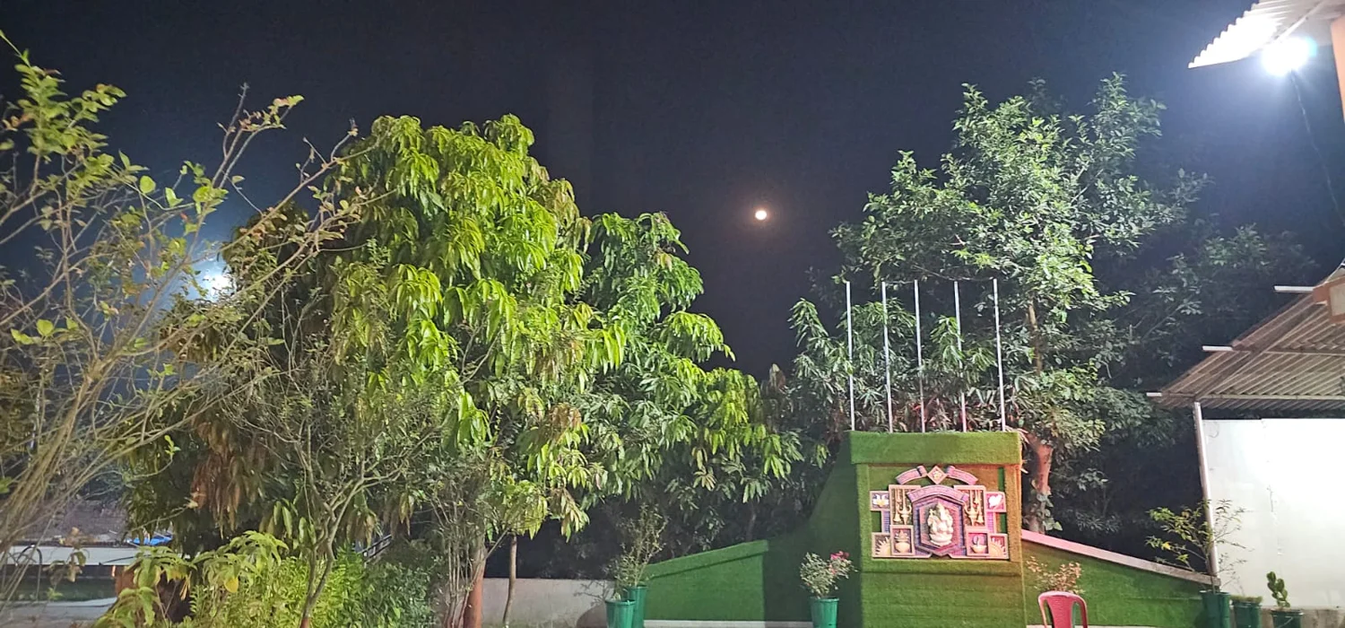 Green trees illuminated at night at the farm