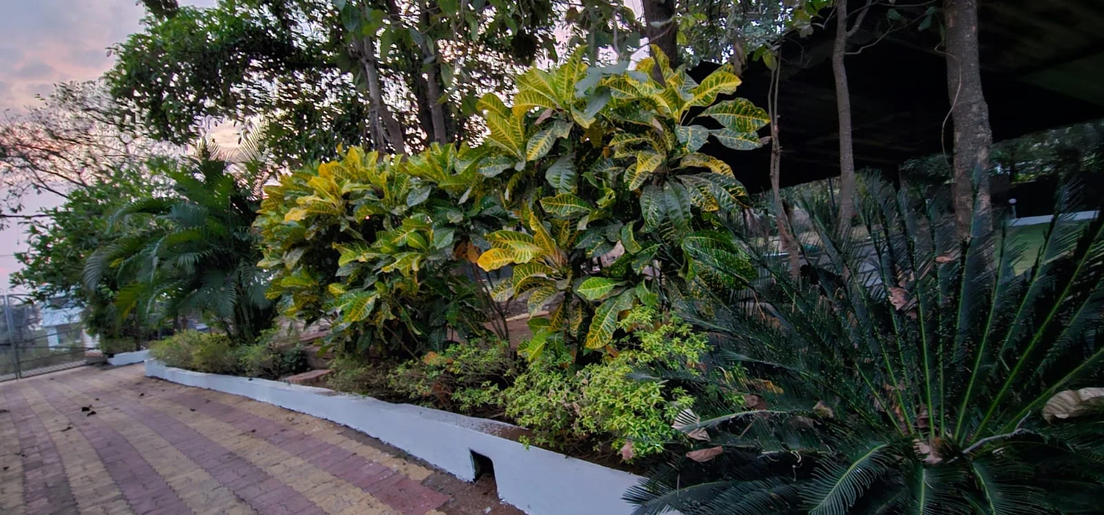 Lush tropical gardens and walking paths at Om Harsh Farm