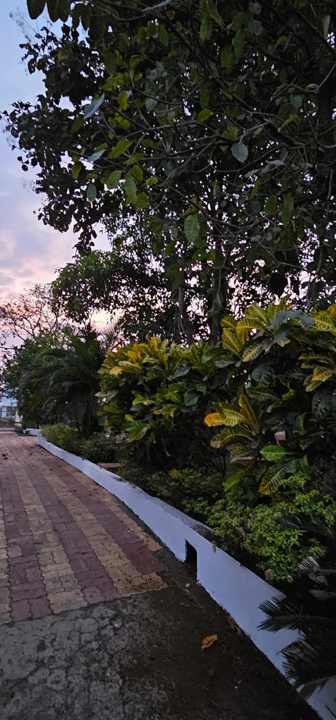 Farm accommodation surrounded by garden greenery