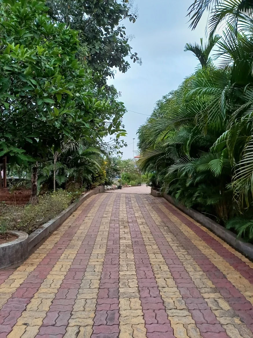 A tree-lined path through Om Harsh Farm